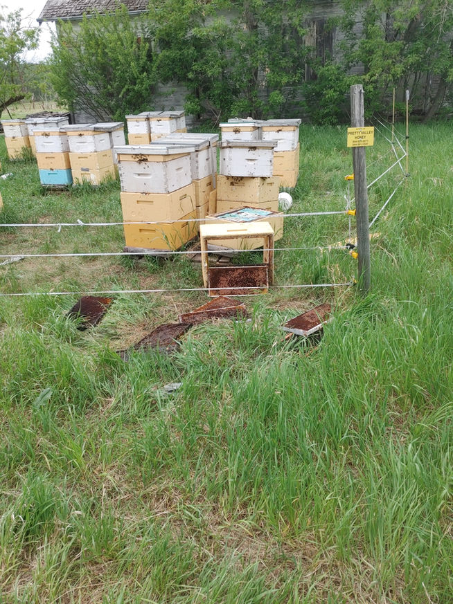 2021 Season photo 28